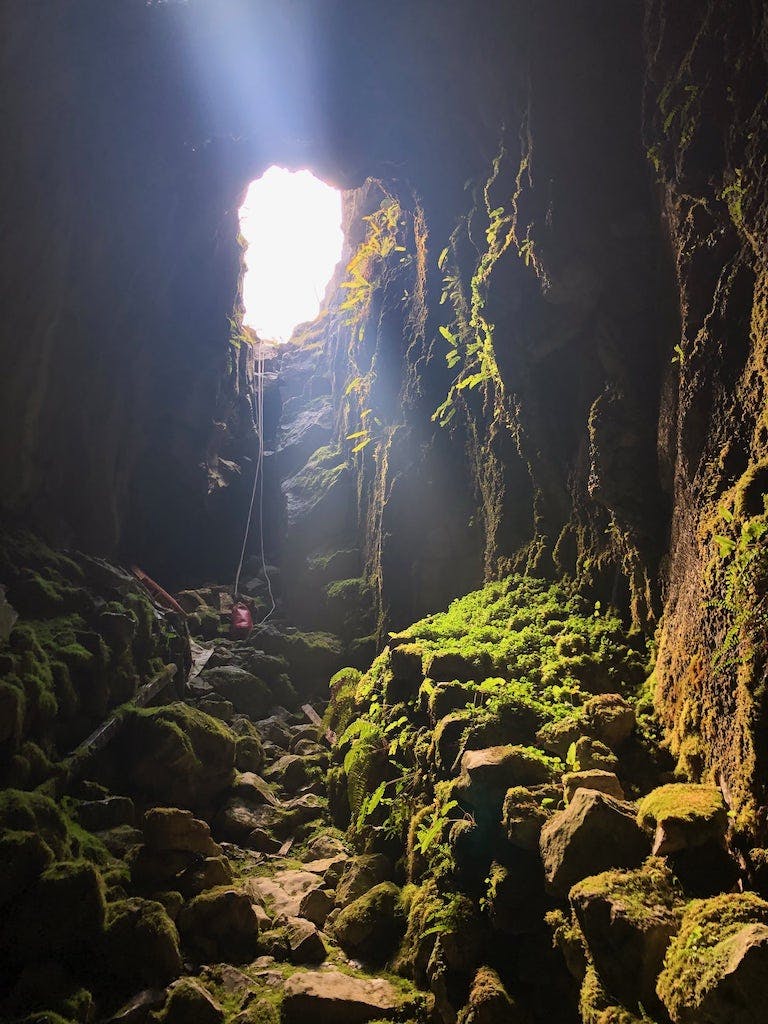 The interior of a cave with green ferns and light falling through a hole